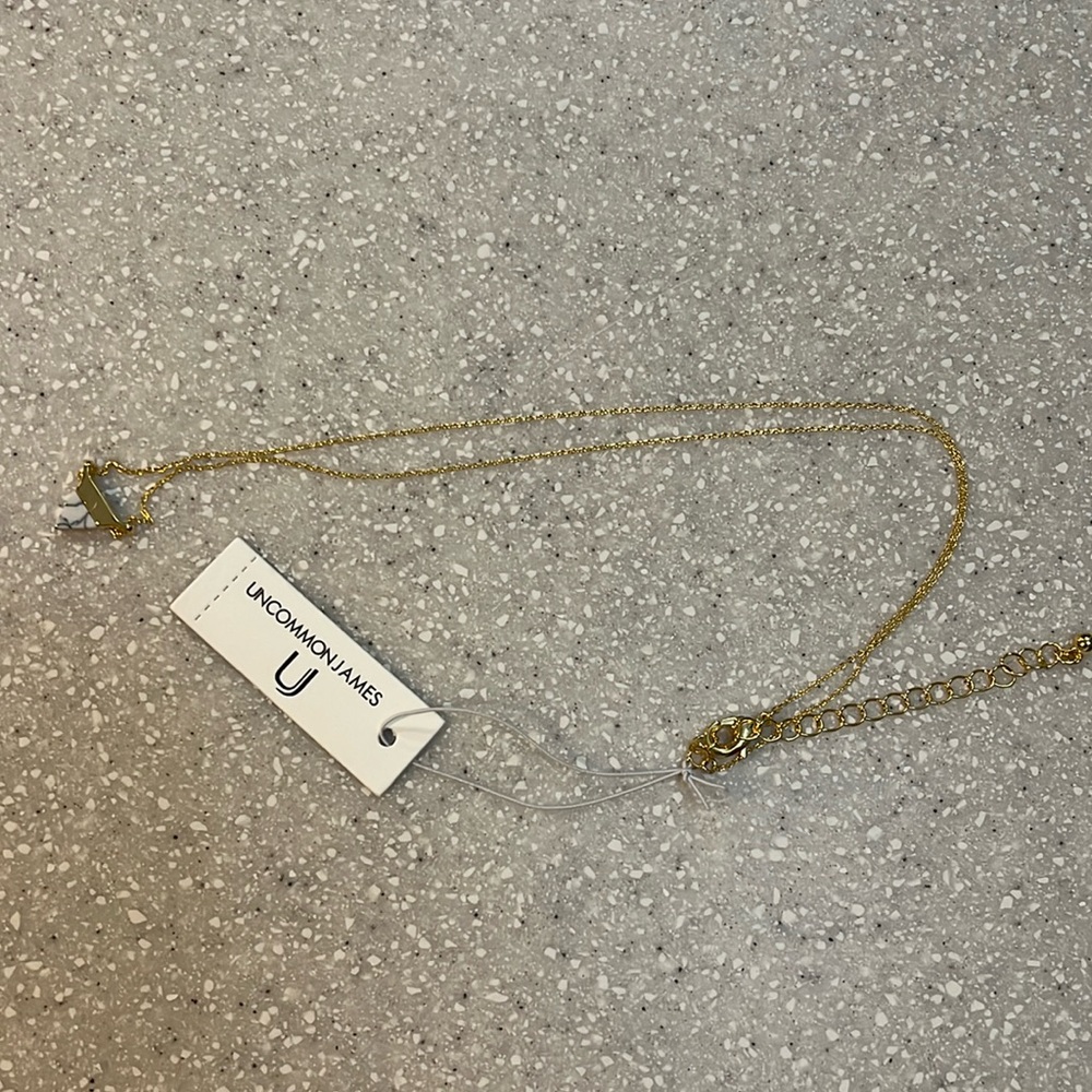 Uncommon James Necklace